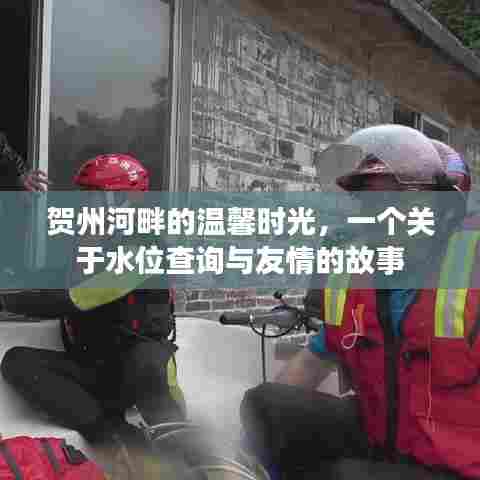 贺州河畔的水位与友情,温馨时光的故事