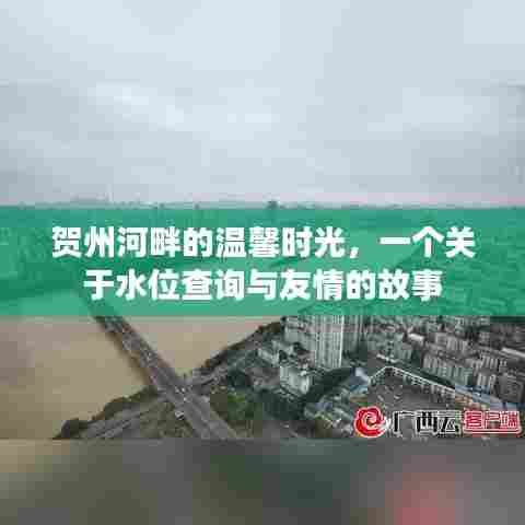 贺州河畔的水位与友情,温馨时光的故事