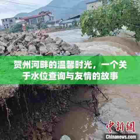 贺州河畔的水位与友情,温馨时光的故事
