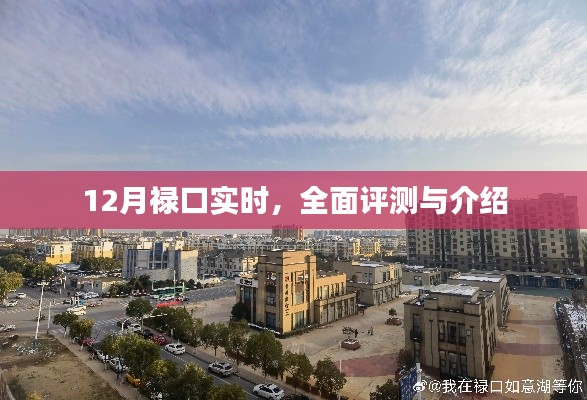 12月禄口实时,全面解析与深度介绍