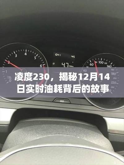 凌度230实时油耗揭秘,探寻背后的故事