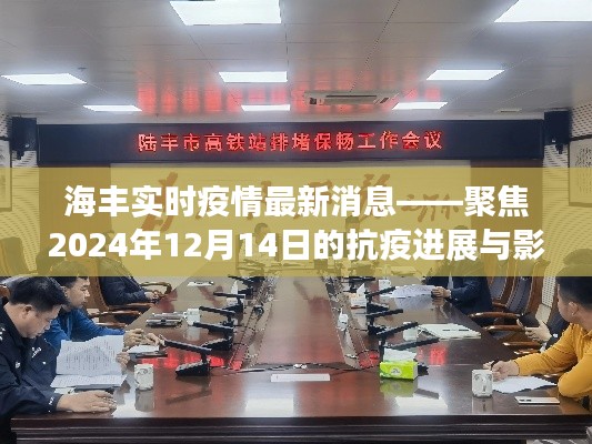 海丰实时疫情最新进展,聚焦抗疫进展与影响(2024年12月14日更新)