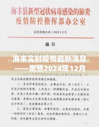 海丰实时疫情最新进展,聚焦抗疫进展与影响(2024年12月14日更新)