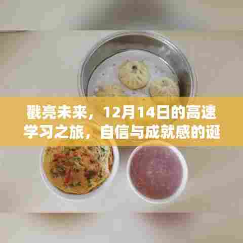 戳亮未来，12月14日高速学习之旅，自信与成就感的启航地