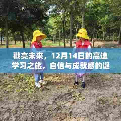 戳亮未来,12月14日高速学习之旅,自信与成就感的启航地
