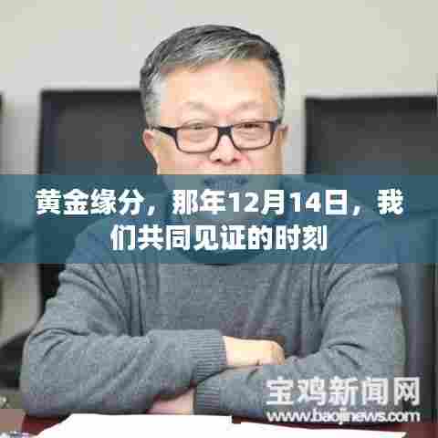 黄金缘分,那年12月14日的共同见证时刻