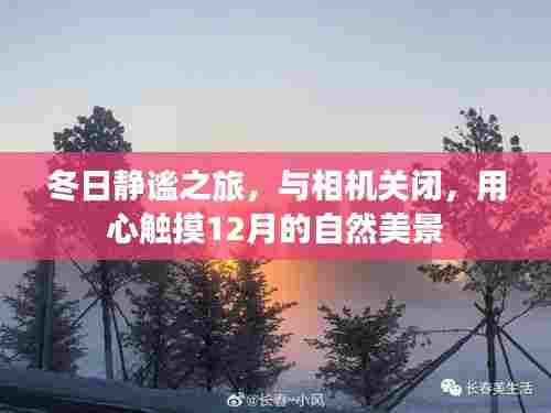 用心触摸自然美景,冬日静谧之旅的十二月篇章