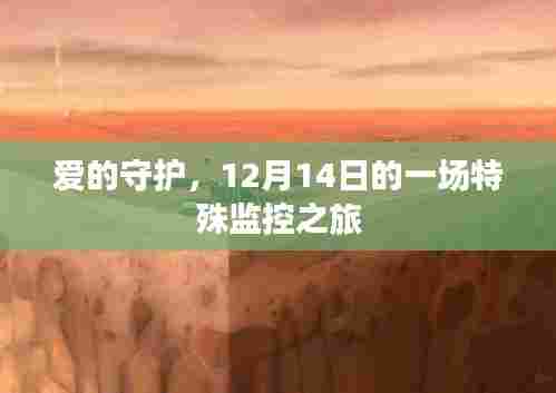 爱的守护,特殊监控之旅的温馨篇章——12月14日纪实