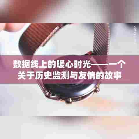 数据线里的暖心时光,历史监测与友情的交织故事