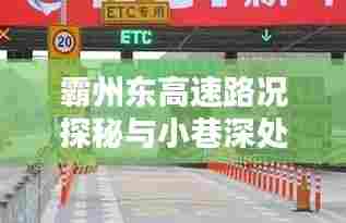 霸州东高速与小巷深处的风情探秘