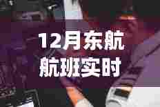 科技助力下的透明航空出行,东航航班实时追踪解析