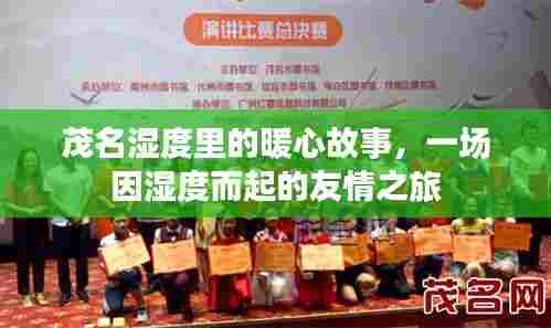 茂名湿度下的暖心故事,友情之旅的缘起