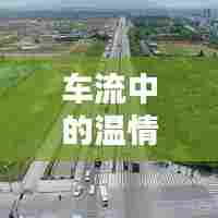 深圳行,车流中的温情纽带,一家人的奇妙旅程