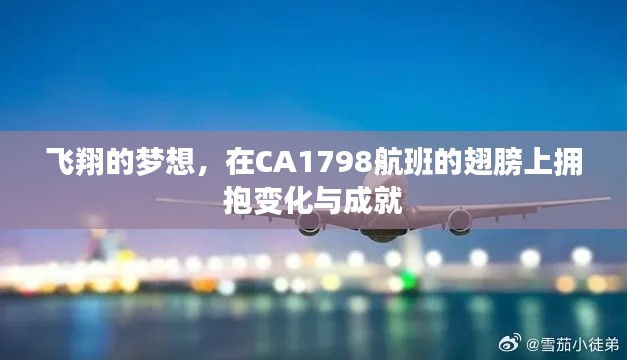 CA1798航班,梦想飞翔,拥抱变化与成就之巅