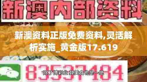 新澳资料正版免费资料,灵活解析实施_黄金版17.619