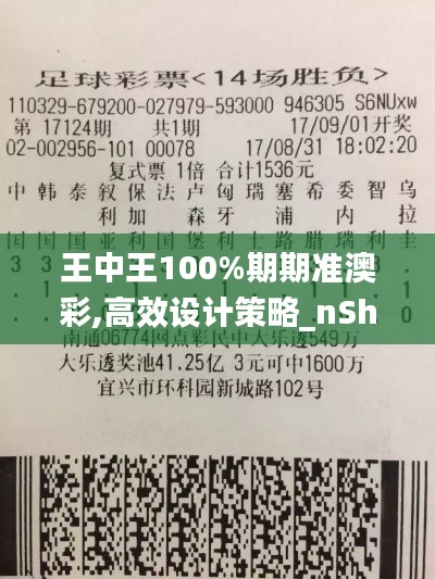 王中王100%期期准澳彩,高效设计策略_nShop3.456