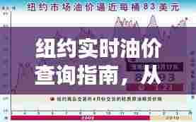 纽约油价查询指南,从新手到专家