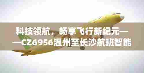 科技领航,CZ6956温州至长沙航班智能实时动态系统引领飞行新纪元!