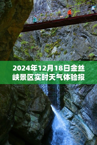 金丝峡景区实时天气体验报告,深度探索,感受自然之美(2024年12月18日)