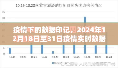 疫情下的数据印记,深度解析2024年12月疫情实时数据报告