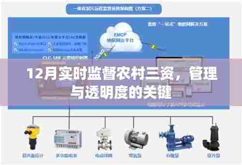 农村三资实时监督,12月管理与透明度的关键之道