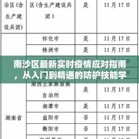 南沙区疫情应对指南,入门到精通的防护技能全解析