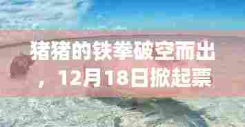 猪猪铁拳,12月18日巨浪来袭,探寻自然之美与心灵净土