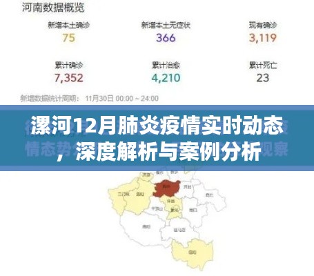 漯河12月肺炎疫情实时动态深度解析及案例分析报告