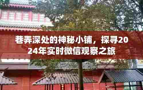 巷弄深处的神秘小铺,探寻微信观察之旅的实时洞察(2024版)