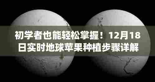 初学者也能轻松掌握!地球苹果种植步骤详解(实时更新,12月18日版)