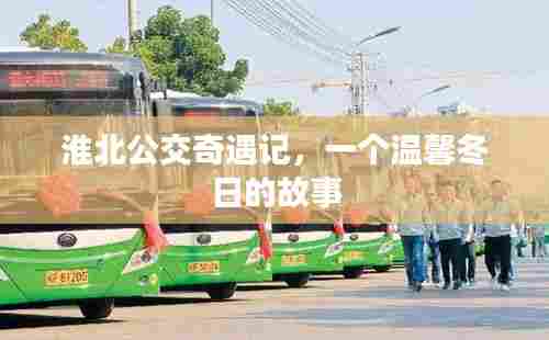 淮北公交奇遇记,冬日里的温馨故事
