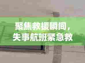失事航班紧急救援纪实,聚焦救援瞬间(实时直播回顾)