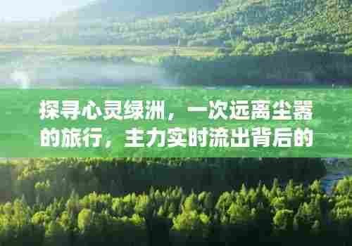 探寻心灵绿洲,远离尘嚣探寻宁静之美的旅行