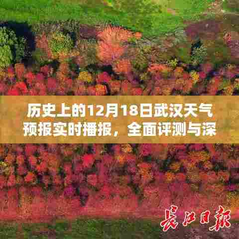历史上的武汉天气预报实时播报,深度分析与全面评测(附日期,12月18日)