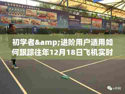 详细步骤指南,使用飞机跟踪App跟踪往年12月18日飞机实时动态,适合初学者与进阶用户参考