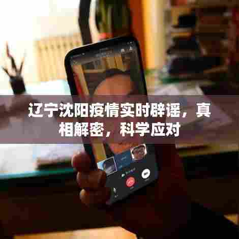 辽宁沈阳疫情真相解密,实时辟谣与科学应对