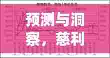 慈利火灾未来实时情况展望报告,预测与洞察(2024年视角分析)