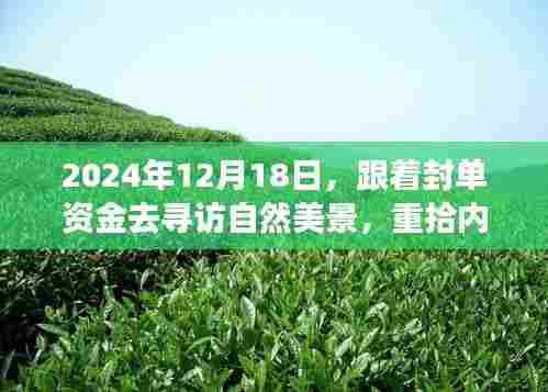 跟着封单资金探寻自然美景，心灵宁静之旅于2024年12月18日启程