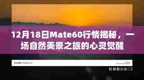 大张挞伐 第3页