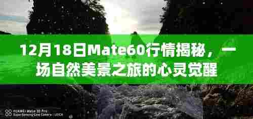 Mate60行情揭秘,自然美景之旅的心灵觉醒体验