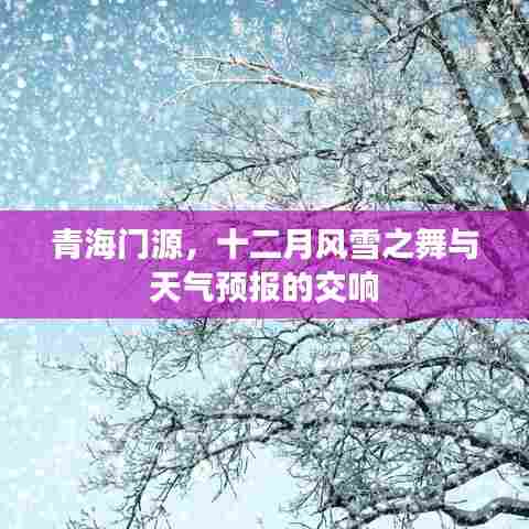 青海门源,十二月风雪与天气预报的交响舞会
