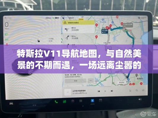 特斯拉V11导航地图引领的心灵之旅,与自然美景的不期而遇