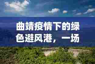 曲靖疫情下的绿色避风港，自然美景探索之旅