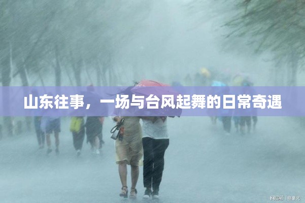 山东往事,台风中的日常奇遇