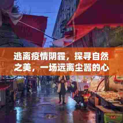 疫情后的自然探索之旅，心灵净化之旅的宁静之地