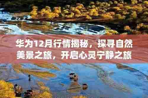 华为12月行情揭秘,启程探寻自然美景,心灵宁静之旅开启!