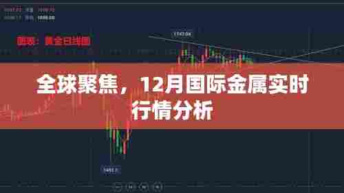 全球瞩目,12月国际金属实时行情深度解析