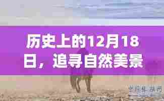 12月18日探寻自然美景之旅,心灵宁静驱散疫情阴霾的历程