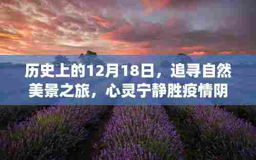 12月18日探寻自然美景之旅,心灵宁静驱散疫情阴霾的历程