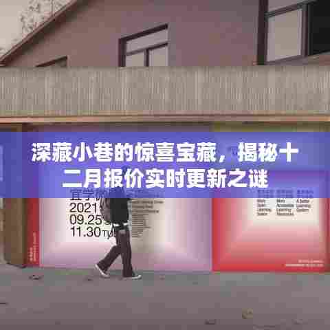 深藏小巷的惊喜宝藏,实时更新十二月报价之谜揭秘